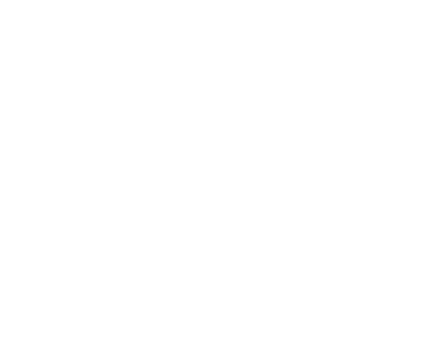 Logomarca Trader DevX